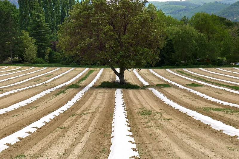L’agroécologie comme réponse systémique